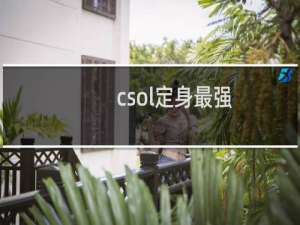 csol定身最强