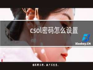 csol密码怎么设置