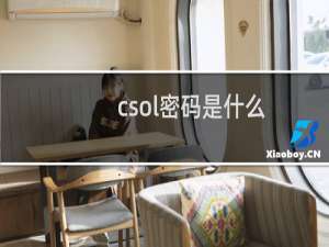 csol密码是什么