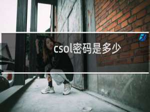 csol密码是多少