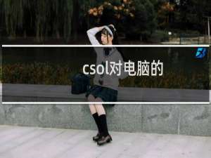csol对电脑的