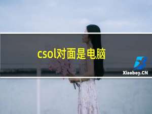 csol对面是电脑