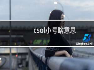 csol小号啥意思