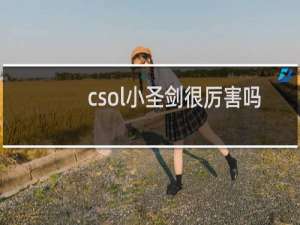 csol小圣剑很厉害吗