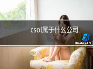 csol属于什么公司