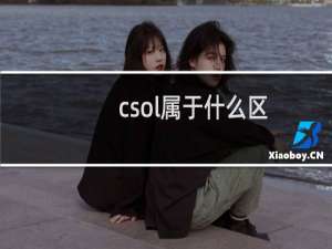 csol属于什么区