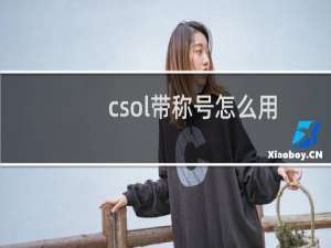 csol带称号怎么用