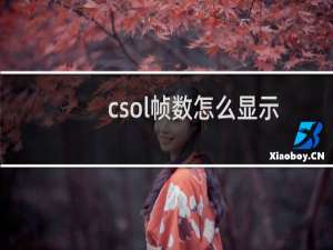 csol帧数怎么显示