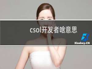 csol开发者啥意思