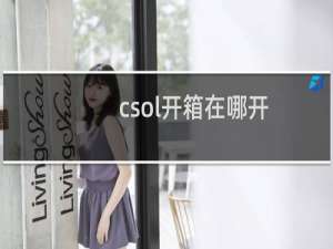 csol开箱在哪开