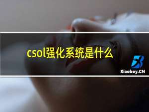 csol强化系统是什么