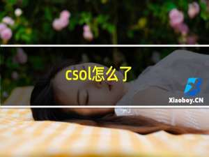 csol怎么了