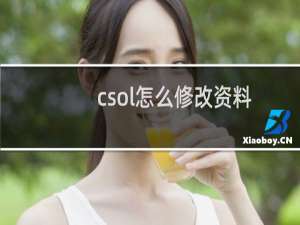 csol怎么修改资料