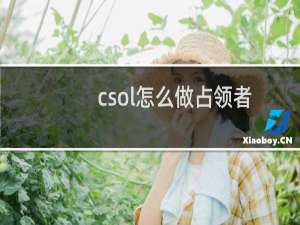 csol怎么做占领者