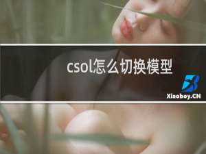 csol怎么切换模型