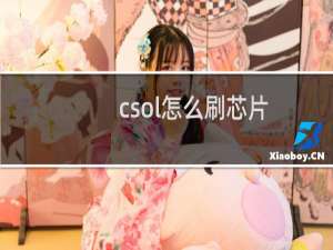 csol怎么刷芯片