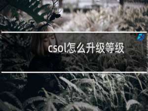 csol怎么升级等级