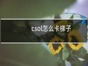 csol怎么卡梯子