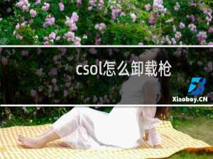 csol怎么卸载枪