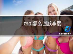 csol怎么回顾季度