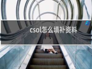 csol怎么填补资料