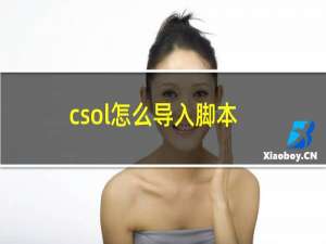 csol怎么导入脚本