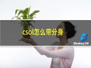 csol怎么带分身