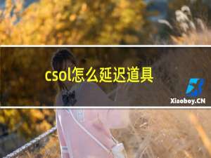 csol怎么延迟道具