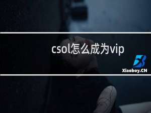 csol怎么成为vip