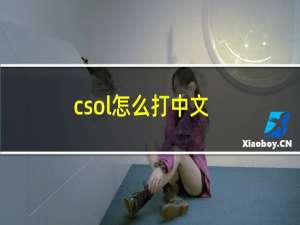 csol怎么打中文
