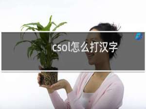csol怎么打汉字