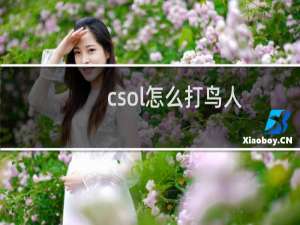 csol怎么打鸟人