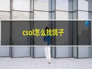 csol怎么找鸽子