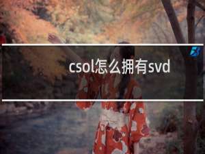 csol怎么拥有svd