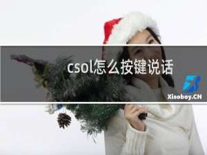 csol怎么按键说话