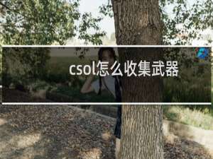 csol怎么收集武器