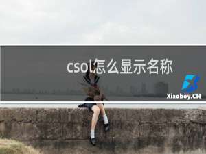 csol怎么显示名称