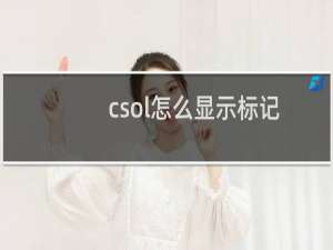 csol怎么显示标记