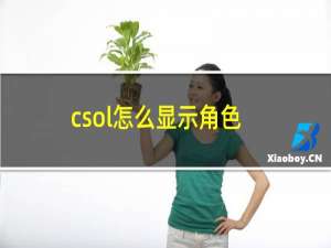 csol怎么显示角色