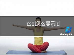 csol怎么显示id