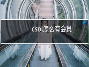 csol怎么有会员