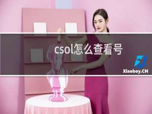 csol怎么查看号
