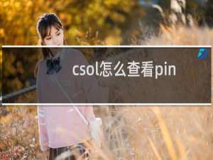 csol怎么查看pin