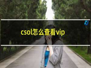 csol怎么查看vip