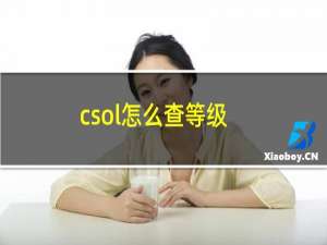 csol怎么查等级