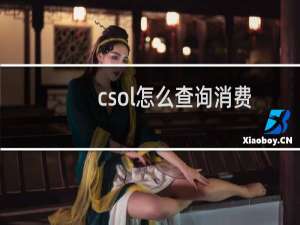 csol怎么查询消费