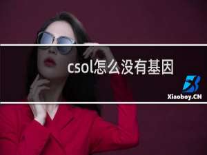 csol怎么没有基因