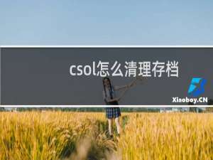 csol怎么清理存档