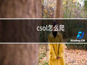 csol怎么爬