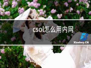 csol怎么用内网